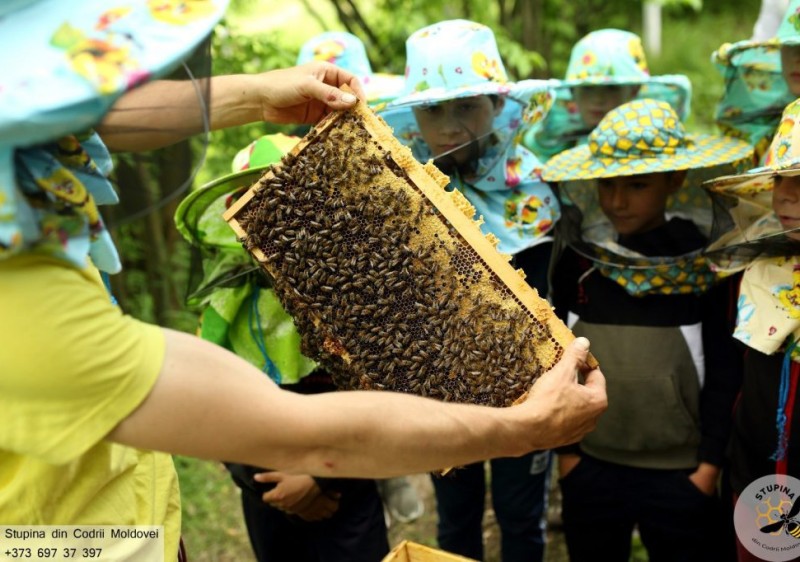 Victoria Sobol: „Am modernizat stupina cu utilaje performante, cu sprijinul IFAD”