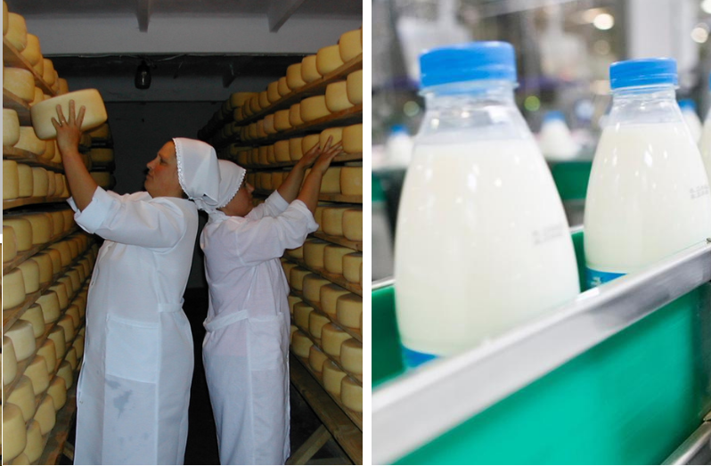 Concurs de Granturi pentru crearea centrelor de procesare/colectare/stocare a produselor agricol