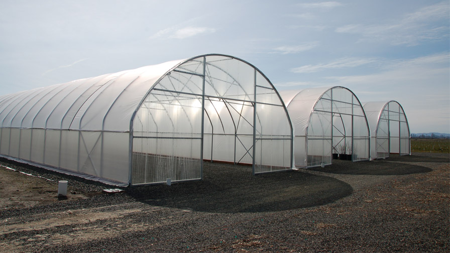 UCIP IFAD invită furnizorii autorizați de echipament agricol naționali la sesiunea de informare și consultanță pre-licitație „Dotarea cu 2 sere a unei pepiniere agrosilvice”