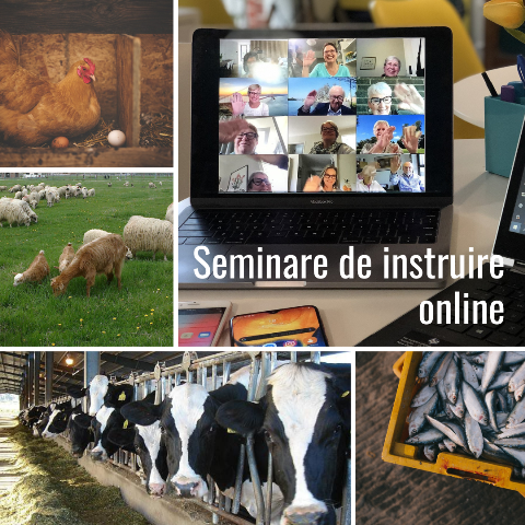 UCIP IFAD invită producătorii agricoli la ciclu de seminare de instruire online