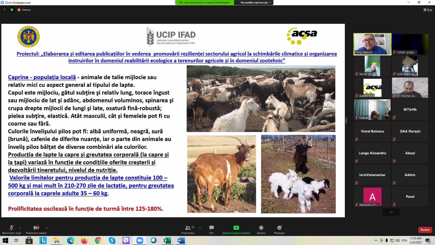 Succesul unei afaceri zootehnice depinde de rasa, hrana și condițiile de întreținere a animalelor