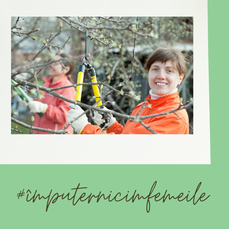 Proiectul de Reziliență Rurală va acorda suport financiar grupurilor de femei