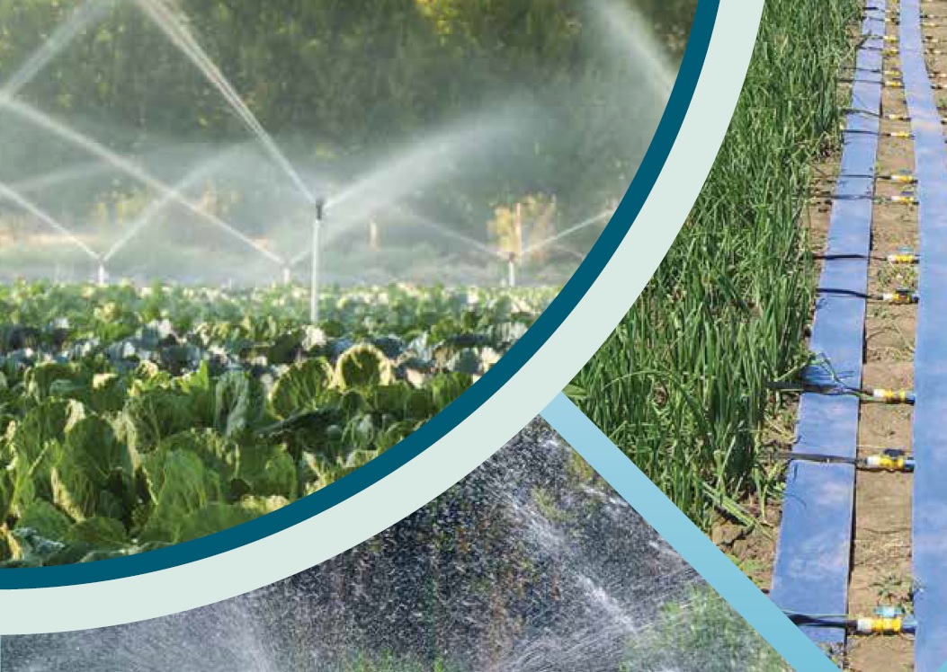 Lansarea publicației ,,Practici eficiente de irigare pentru o agricultură adaptabilă la climă în Republica Moldova''