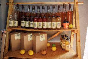 Angela și Vladimir Burlac “storc iubire” din fructe și legume. Cu sprijinul IFAD și-au sporit productivitatea de 6 ori