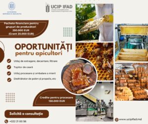 Valorifică-ți potențialul APICOL! E șansa TA!