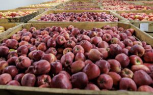 Antreprenoare care inspiră - Svetlana Serebrian