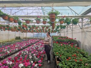 Natalia Calmis – Florile care aduc bunăstare, bucurie și speranță