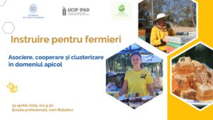 Apicultorii din Republica Moldova învață să colaboreze pentru un sector mai competitiv și durabil