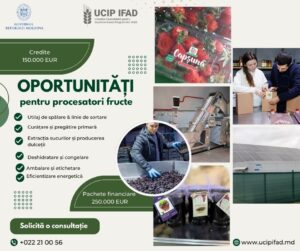 Transformă recolta de fructe în profit maxim