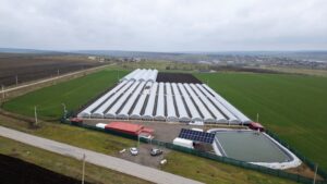 Maxim Dianov – Agricultorul care cu ajutorul IFAD a transformat inovația în profit