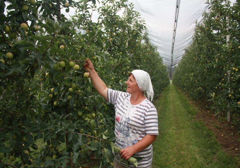 15 octombrie – Ziua internaţională a femeilor din mediul rural