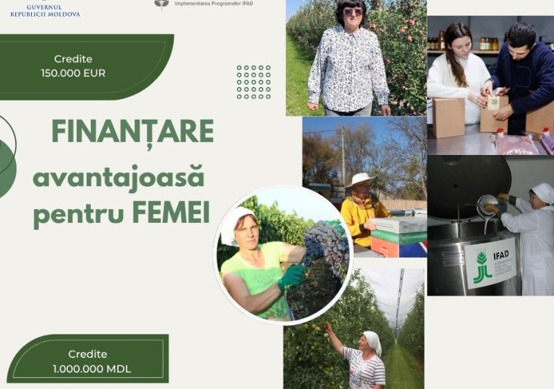 Oportunități de finanțare pentru femei antreprenoare din mediul rural