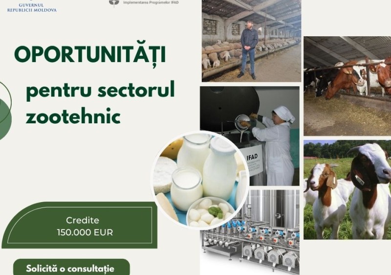 IFAD oferă finanțare pentru investiții în domeniul zootehnic